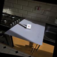 Dataset Image