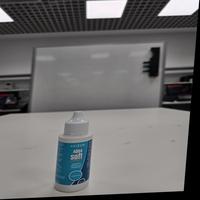 Dataset Image
