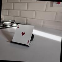 Dataset Image
