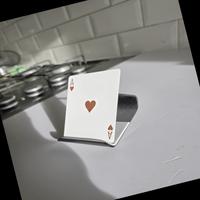 Dataset Image