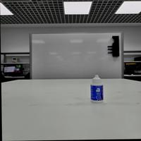 Dataset Image