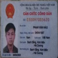 Dataset Image
