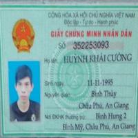 Dataset Image