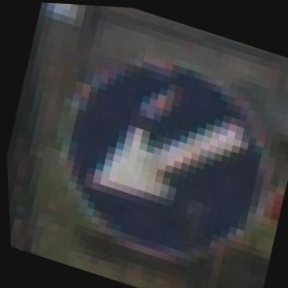 Dataset Image