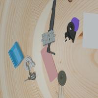 Dataset Image