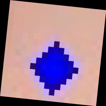 Dataset Image