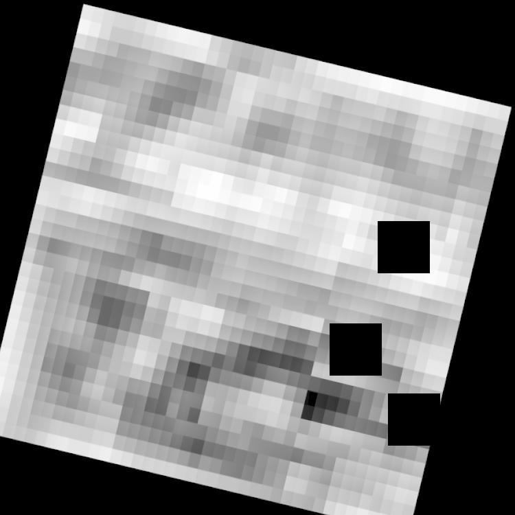 Dataset Image