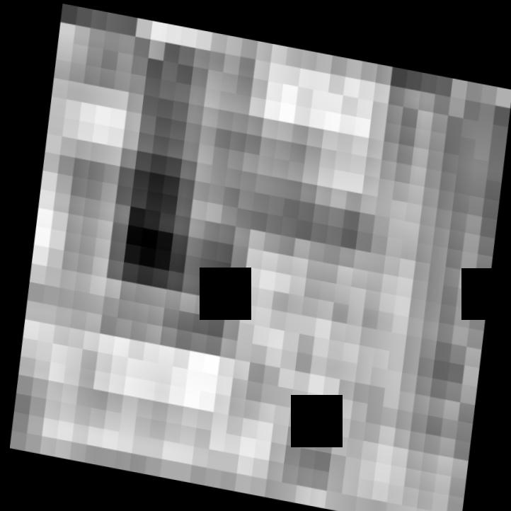 Dataset Image