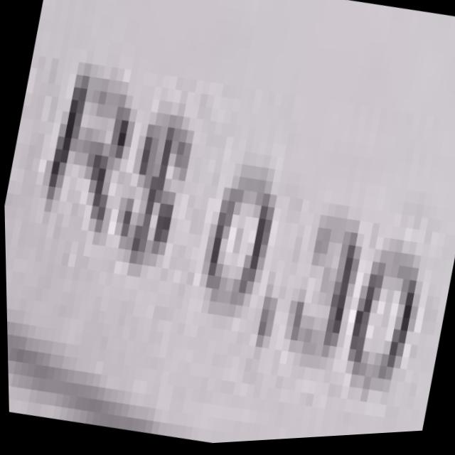 Dataset Image