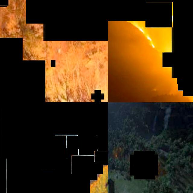 Dataset Image