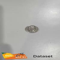 Dataset Image