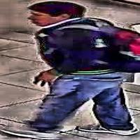 Dataset Image