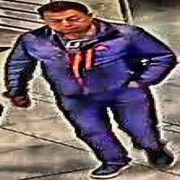 Dataset Image