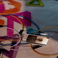 Dataset Image