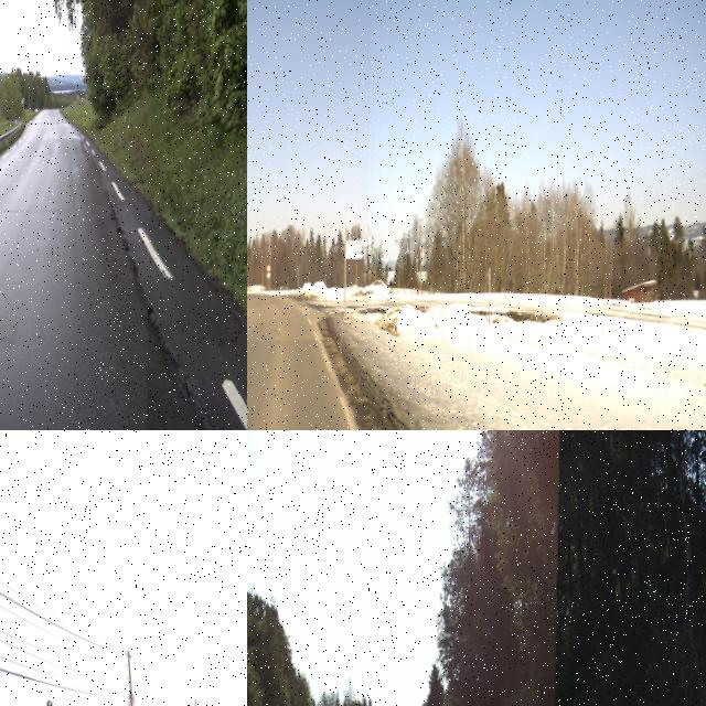 Dataset Image