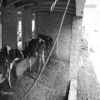 Dataset Image