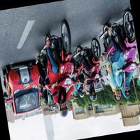 Dataset Image
