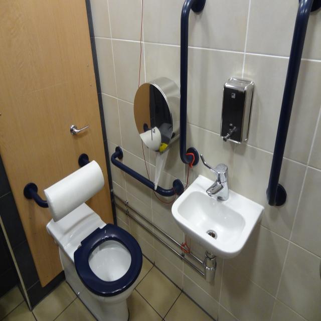 Dataset Image