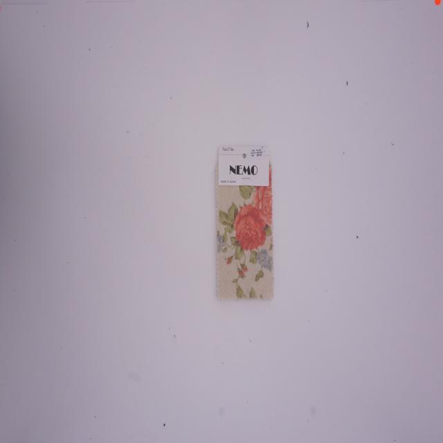 Dataset Image