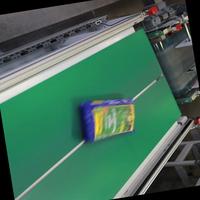Dataset Image