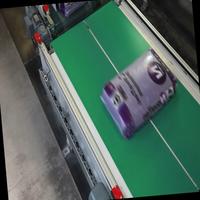 Dataset Image