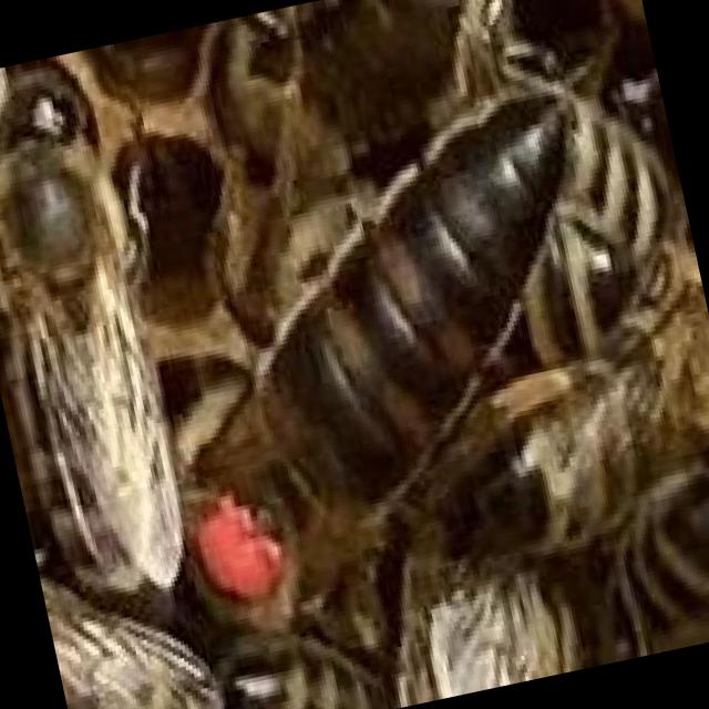 Dataset Image