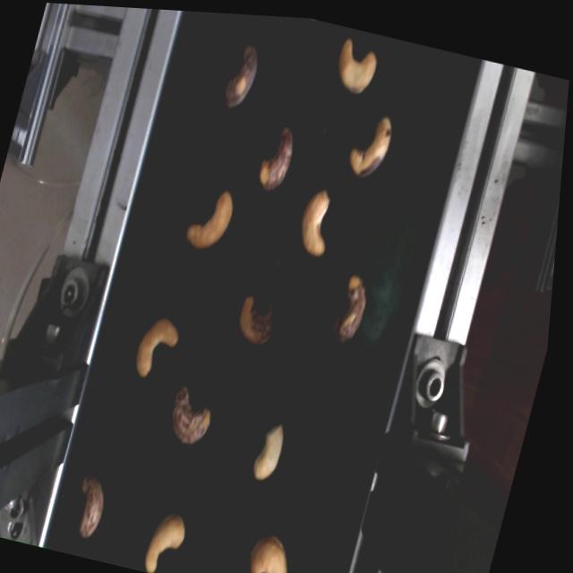Dataset Image