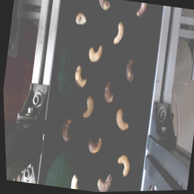 Dataset Image