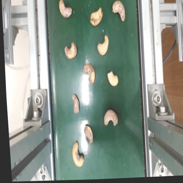 Dataset Image