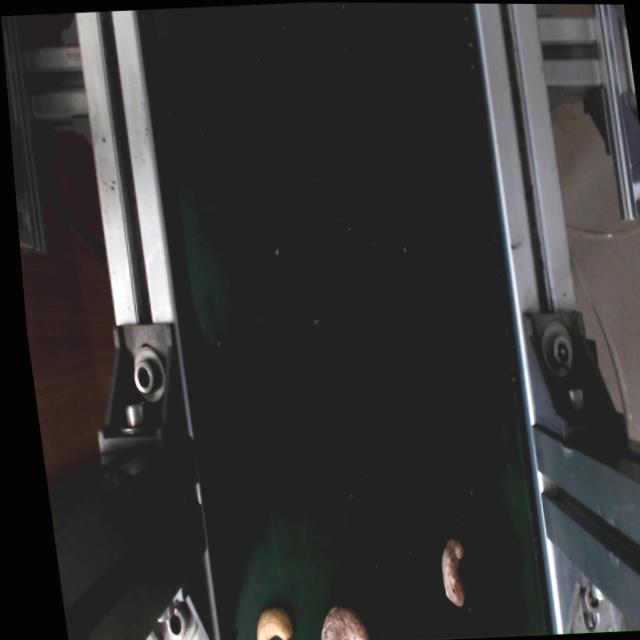 Dataset Image