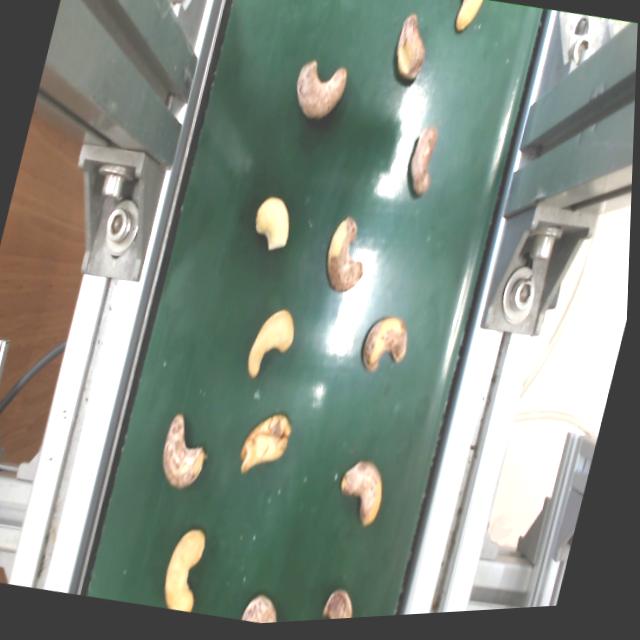 Dataset Image
