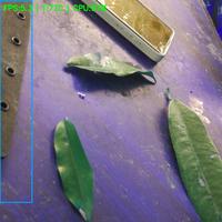 Dataset Image