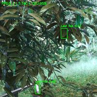 Dataset Image