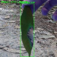 Dataset Image