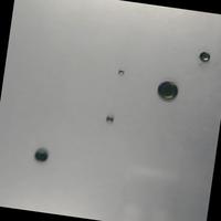 Dataset Image
