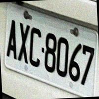 Dataset Image