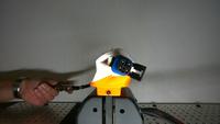 Dataset Image