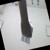 Dataset Image