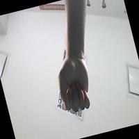 Dataset Image