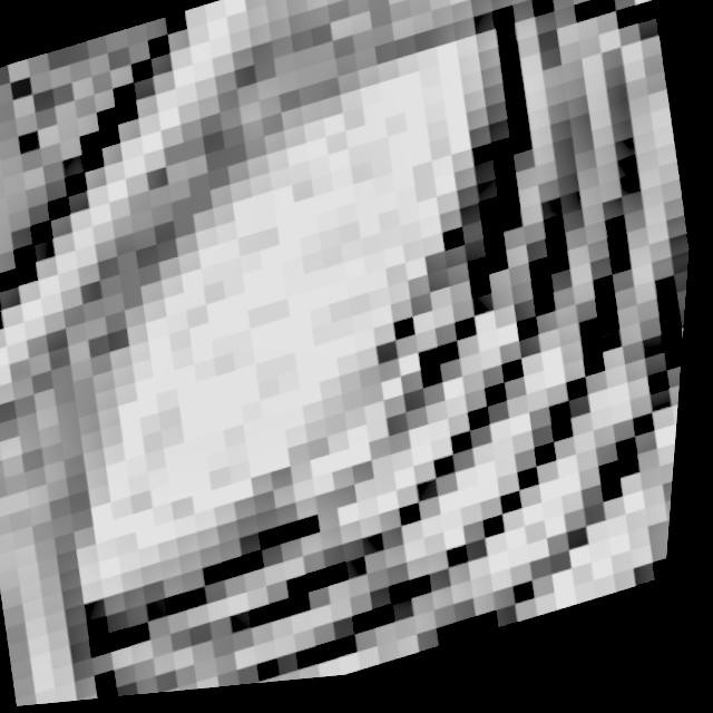 Dataset Image