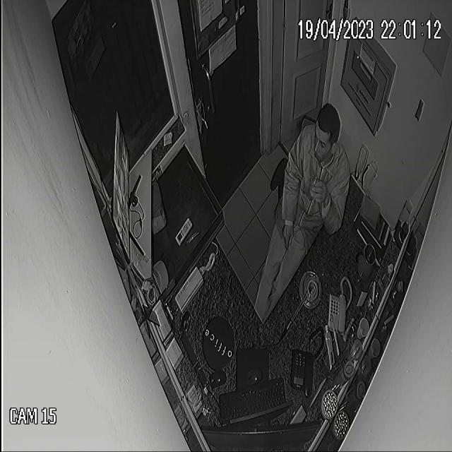 Dataset Image
