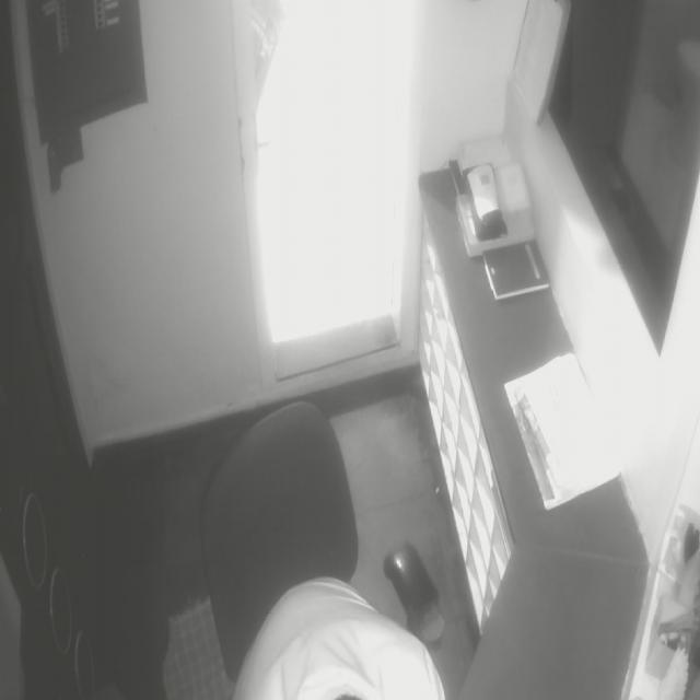 Dataset Image