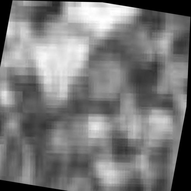 Dataset Image