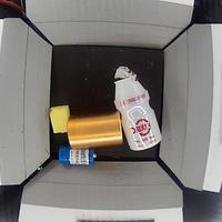 Dataset Image