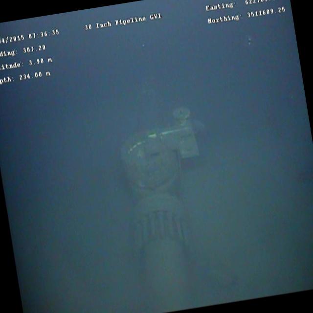 Dataset Image