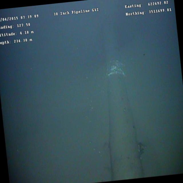 Dataset Image