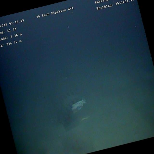 Dataset Image