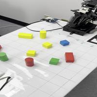 Dataset Image