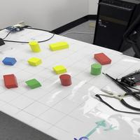 Dataset Image