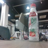 Dataset Image